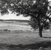 Landskapsvy vid Troserum.