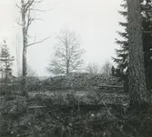 Röse före omplockning (från nordväst).