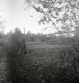 Vy med grind i förgrunden.