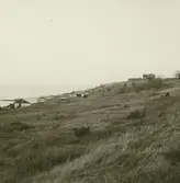 Äleklinta från söder.