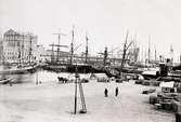 Magasinen vid Tullhamnen omkring 1900.