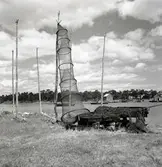 Ålbottengarn och tjärbark.