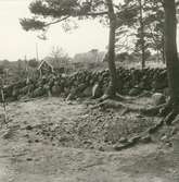 Röse nummer 16, brättet norr om profilen, foto från nordost.