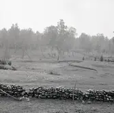 Täktområde från nord-nordöst.