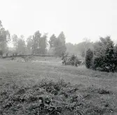 Täktområde från öster.