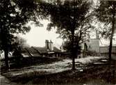 Gamla kyrkogården i Gamla staden i Kalmar år 1908. Taken på bostadshus i bakgrunden.