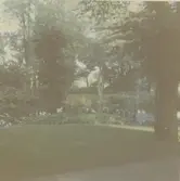 Motiv från Stadsparken. Kalmar den 16 augusti.