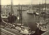 Degerhamn juni 1945.