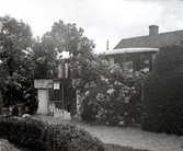 Widebergs trädgård