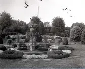 Widebergs trädgård