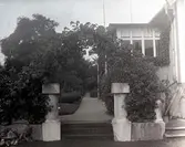 Widebergs trädgård