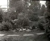 Widebergs trädgård