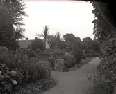 Widebergs trädgård