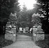 Widebergs trädgård