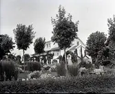 Widebergs trädgård