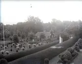 Widebergs trädgård