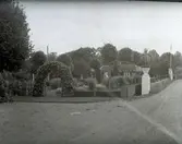 Widebergs trädgård