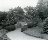 Widebergs trädgård