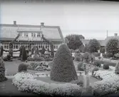 Widebergs trädgård