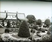 Widebergs trädgård