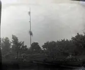 Widebergs trädgård