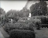 Widebergs trädgård