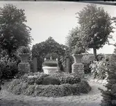 Widebergs trädgård