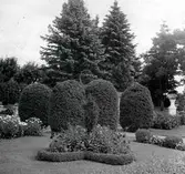 Widebergs trädgård