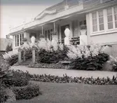 Widebergs trädgård