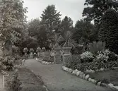 Widebergs trädgård