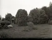 Widebergs trädgård