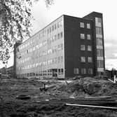Härolds invigning.
Maj 1956.