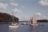 Segelbåtar i skärgårdsvik. Till h ses kustkryssaren KR-S 33 SWELL II.