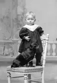 Liten pojke och en hund stående på stol.