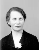 Firman Ad. Lidwall i Tidaholm etablerades 1862. Mivis Lidwall f. 1856 och Adolf Lidwall drev den tillsammans med sin dotter Signe.