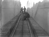 Berg o Dalbanan på Liseberg.