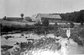 Bosgårdens badplats vid Hornborgaån 1923.