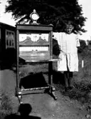 Marie-Louise Berg.

Fotograf är Maria Berg, född Flach.

Kapten Sigge Flachs samling, Prinshaga, Axvall.