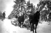 Helge Johansson, Sjökärret.
Ernst Lindblom, Björkebacken.

Reprofotograf: Gunnar Berggren.