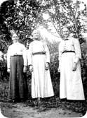 Myrhult 1900-01.
Fr.v:
1. Ida Pettersson
2. Kristin Isaksson
3. Hanna Nilsson, Småfalla

Reprofotograf: Gunnar Berggren.