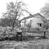 Skara. 
Kvarteret Jupiter.
Tomt nr. 11, Skolgatan 17.