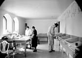 Skara.
Stadsträdgården.
Västergötlands Museum.
Konservator Beda Westman, Målare Malmros och en tillfällig arbetare i arbete, våren 1939.