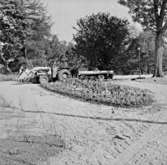 Skara.
Stadsträdgården.
Planteringsarbete år 1968.