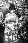 Greta Bäckström är syster till Karin Bäckström.

Karin Bäckström f. 1880 drev fotoateljé på Vasagatan 5 i Töreboda. Hon tog över den av sin far Thure Bäckström, som hade etablerat firman 1886, och hon drev den mellan 1896 -1916.
Karin Bäckström gifte sig år 1917 med John Knape.