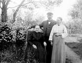 Stina Kajsa Knape blev 103 år.
Hanna Larsson, kusin till John Knape.

Karin Bäckström f. 1880 drev fotoateljé på Vasagatan 5 i Töreboda. Hon tog över den av sin far Thure Bäckström, som hade etablerat firman 1886, och hon drev den mellan 1896 -1916.
Karin Bäckström gifte sig år 1917 med John Knape.