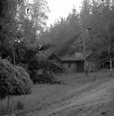 Gåva av Thure Elgåsens sterbhus. 
Thure Elgåsen. f. 26/6-1910 d. 6/9-1985. 
Tivedenkännare, konsthantverkare, scoutledare och hembygdsföreningsman.