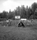 2002-06-28,AS. Thure Elgåsen. f. 26/6-1910. d. 6/9-1985. Tivedenkännare, konsthantverkare, scoutledare, hembygdsföreningsman. Övrig information se personarkiv i Västergötlands museum, Skara.