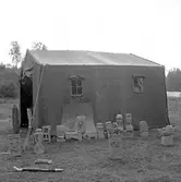 Thure Elgåsen. f. 26/6-1910. d. 6/9-1985. 
Tivedenkännare, konsthantverkare, scoutledare, hembygdsföreningsman. 
Övrig information se personarkiv i Västergötlands museum, Skara.