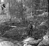 Thure Elgåsen. f. 26/6-1910. d. 6/9-1985.
Tivedenkännare, konsthantverkare, scoutledare och hembygdsföreningsman. 
Övrig information se personarkiv i Västergötlands museum, Skara.

Skaga medeltida stavkyrka, riven 1825, var en känd offerkyrka; 
en rekonstruktion uppfördes 1957-58 efter Erik Lundbergs ritningar.
Information hämtad i NE:http://www.ne.se/jsp/search/article.jsp?i_art_id=335527
Nationalencyklopedin 2002-09-03