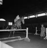 Ryttartävling i SKLS (Skaraborgs Läns Slakteriförening) uppvisningshall, Skara. 22/3 1953.